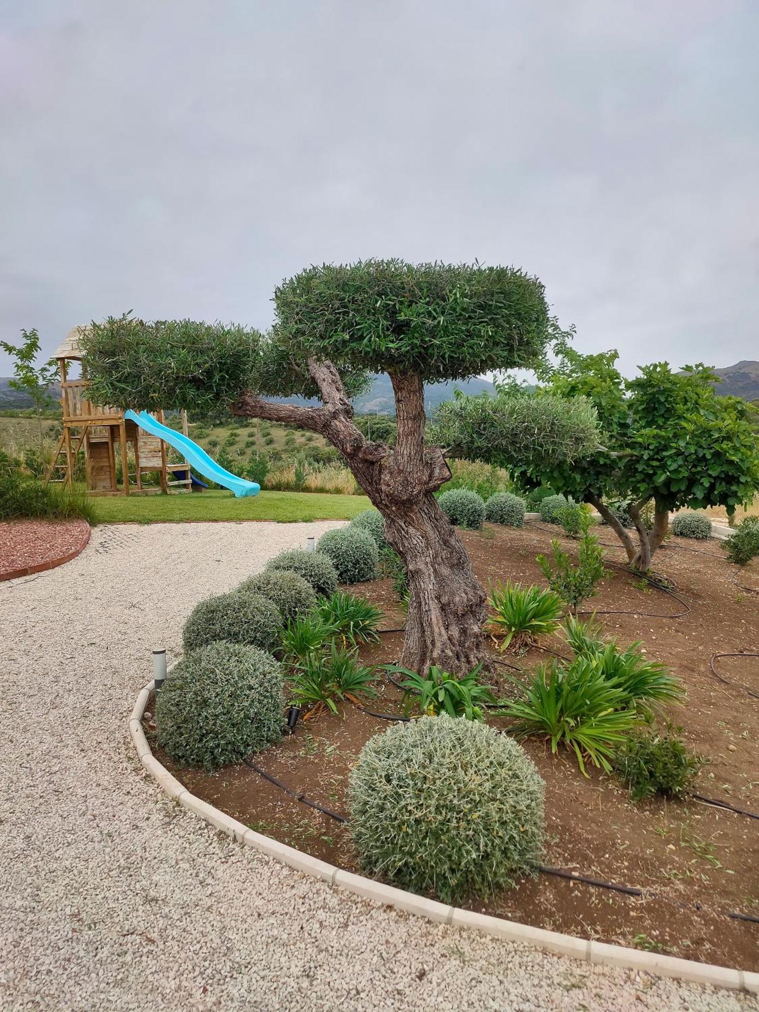 La Marabulla Villa Ronda Exteriör bild